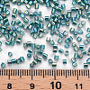 Glass Bugle Beads SEED-S032-09A-645-4