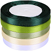 5 Rolls 5 Colors Polyester Ribbon OCOR-CP0001-26B-7