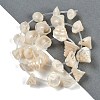 Natural Shell Beads Strands X-SHEL-K009-11-2