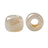 TOHO 8/0 Round Beads X-SEED-TR08-0901-3