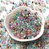 6/0 Transparent Inside Colours Glass Seed Beads SEED-P006-01A-07-2