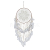 Woven Web/Net with Feather Wall Hanging Decorations PW-WG47321-01-3