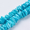 Natural Sea Shell Beads Strands BSHE-K012-08C-1