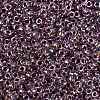 MIYUKI Round Rocailles Beads SEED-G009-RR3206-3