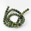 Natural Taiwan Jade Beads Strands Z0NCT012-4