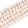 Natural Cultured Freshwater Pearl Beads Strands PEAR-I007-07X-08A-2