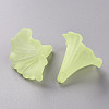 Transparent Acrylic Beads BSF796-C17-3