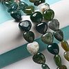 Natural Indian Agate Beads Strands G-P528-C08-01-2