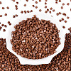 FGB Baking Paint Glass Seed Beads SEED-Q040-09A-07-2