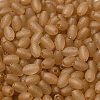 Transparent Colours Glass Seed Beads SEED-F006-03A-10-3