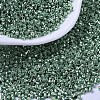 MIYUKI Delica Beads X-SEED-J020-DB0414-1