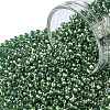TOHO Round Seed Beads SEED-JPTR11-1006-1