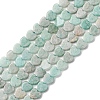 Natural Amazonite Beads Strands G-M403-A53-02-2