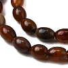 Natural Petrified Wood Beads Strands G-K362-I12-02-4