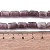 Natural Lepidolite Beads Strands G-F808-B01-01-5