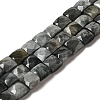 Natural Eagle Eye Stone Beads Strands G-C109-A15-02-1