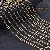 1 Roll PVD Vacuum Plating 304 Stainless Steel Paperclip Chains CHS-BBC0001-08-4