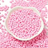 Baking Paint Glass Seed Beads SEED-B001-02A-15-3