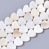 Natural Freshwater Shell Beads Strands X-SHEL-S276-70-2