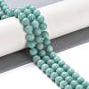 Natural Amazonite Beads Strands G-F602-02-8mm-5