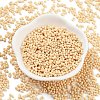 Baking Paint Glass Seed Beads SEED-A033-05G-2