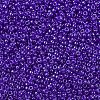 MIYUKI Round Rocailles Beads SEED-G007-RR0176-3