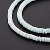 Sea Shell Beads Strands SSHEL-T014-49-4