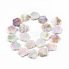 Electroplated Natural Freshwater Shell Beads Strands X-SHEL-N026-203B-01-2