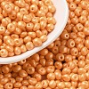 6/0 Glass Seed Beads SEED-L011-08A-19-1