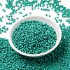 MIYUKI Round Rocailles Beads SEED-JP0009-RR0412-2