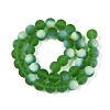 Frosted Transparent Glass Beads Strands GLAA-T032-T10mm-MBB07-2
