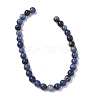 Natural Sodalite Beads Strands G-G515-6mm-07-4