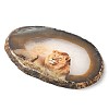 Printed Natural Agate Slice Stone Ornament DJEW-M011-04E-1