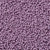 MIYUKI Delica Beads X-SEED-J020-DB0800-3