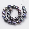 Natural Cultured Freshwater Pearl Beads Strands PEAR-S012-36-2