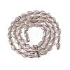 Natural Smoky Quartz Beads Strands G-A303-A04-01-3
