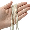 Eco-Friendly Dyed Glass Pearl Round Bead Strands X-HY-A002-4mm-RB001-4