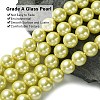 Eco-Friendly Glass Pearl Beads Strands HY-A008-12mm-RB012-3