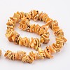 Natural Shell Bead Strands BSHE-P010-06-3