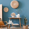 Shell Shaped Basswood Plywood Storage Boxes with Visible Window AJEW-WH0819-010-5