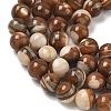 Natural Trochus Shell Beads Strands SH-CBAFEDD-02A-3