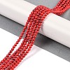 Synthetic Turquoise Beads Strands G-U004-02K-2