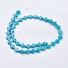 Synthetic Turquoise Beads Strands G-E474-02A-12x16m-2