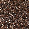 Transparent Glass Round Seed Beads SEED-B001-05A-20-3