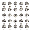 Tibetan Style Alloy Pendants FIND-DC0006-12C-1