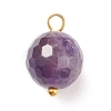 Natural Mixed Stone Charms PALLOY-JF01677-2