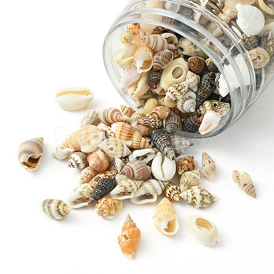 12 Styles Natural Mixed Shell Beads SSHEL-YW0001-05-1