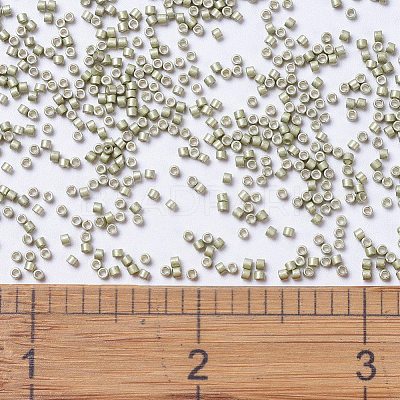MIYUKI Delica Beads SEED-X0054-DB1181-1