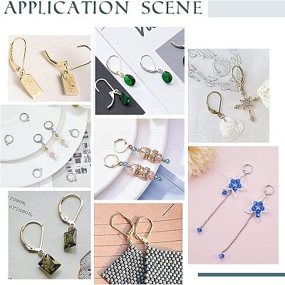 120Pcs 2 Style 304 Stainless Steel Leverback Earring Findings STAS-UN0038-45-1