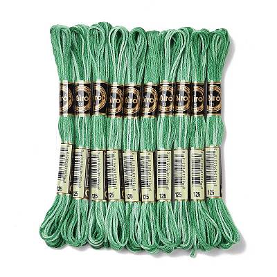 10 Skeins 6-Ply Polyester Embroidery Floss OCOR-K006-A25-1